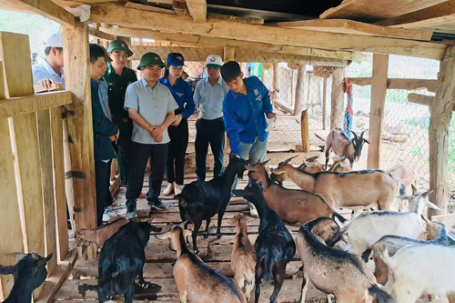 Bí thư chi đoàn 'hai giỏi'