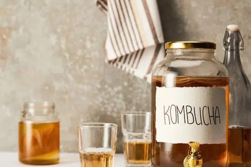 Kombucha tốt cho gan nhưng 5 nhóm người này tuyệt đối tránh