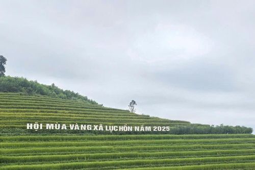 Hội Mùa vàng xã Lục Hồn: Khám phá ruộng bậc thang và trải nghiệm văn hóa Tày - Dao