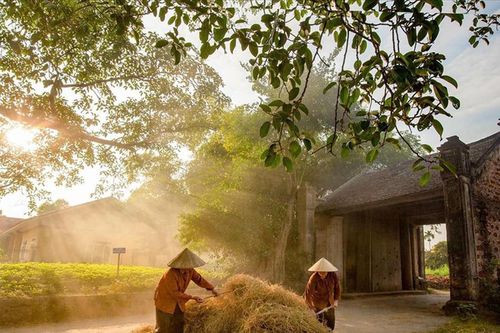 Vẻ đẹp các thôn làng du lịch Việt Nam được thế giới tôn vinh