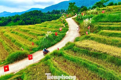 Check-in cung đường chữ S giữa 'biển vàng' gây sốt mạng xã hội