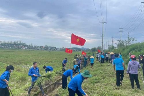 Tuổi trẻ Nghệ An hưởng ứng Ngày Chủ nhật Xanh