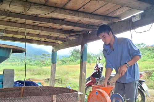 Chàng trai dân tộc Thái ở bản Pục làm giàu từ giống gà bản địa