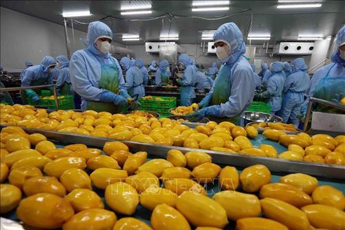 Thu thêm hàng chục tỉ đô nếu nâng tầm giá trị nông sản Việt