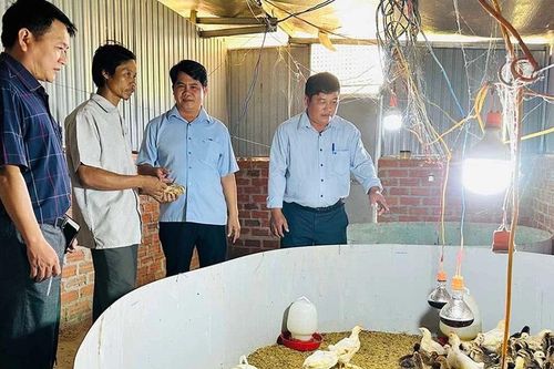 Nâng cao chất lượng đào tạo nghề cho lao động dân tộc thiểu số