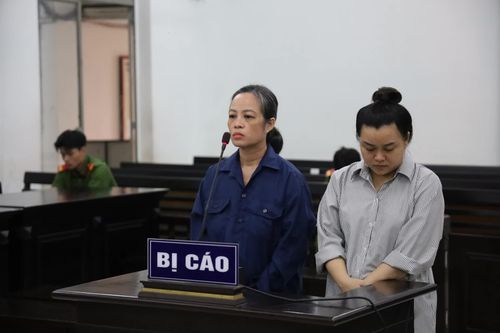Lập khống hồ sơ mua xe trả góp để chiếm đoạt tiền công ty
