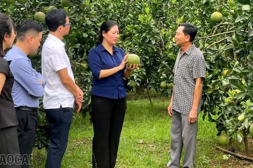 Lâm Giang nhân rộng mô hình thi đua 'Dân vận khéo'