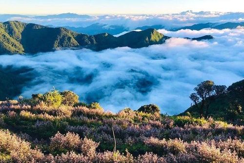 Lào Cai xây dựng du lịch thông minh để bứt phá