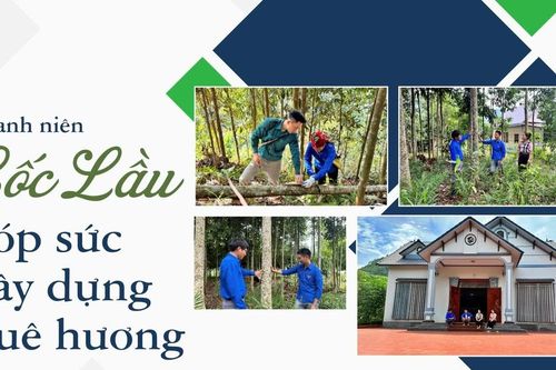 Thanh niên Cốc Lầu góp sức xây dựng quê hương