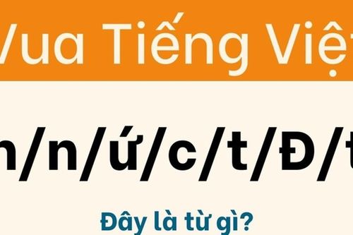 Mẹo giải câu đố tiếng Việt: Sắp xếp chữ thành từ có nghĩa