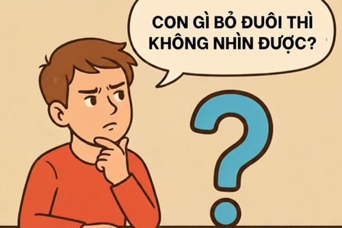 Câu đố: Con gì bỏ đuôi đi thì không thể nhìn thấy được?
