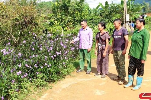 'Hạt nhân' xây dựng nông thôn mới từ cơ sở