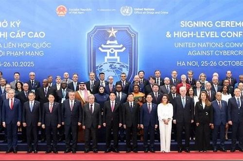 Bước tiến toàn cầu trong cuộc chiến chống tội phạm mạng