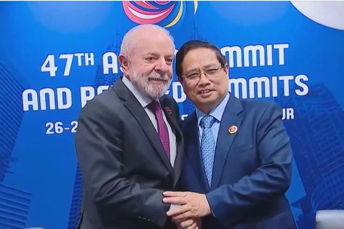 Brazil đặc biệt coi trọng quan hệ với Việt Nam