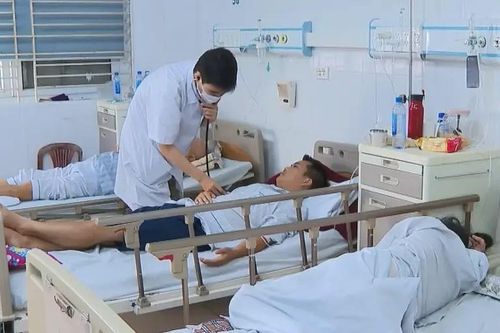 Nhiều bệnh nhân nguy kịch do nhiễm khuẩn xoắn
