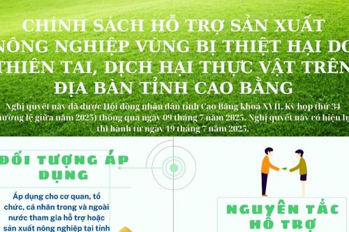 Chính sách hỗ trợ sản xuất nông nghiệp vùng bị thiệt hại do thiên tai, dịch hại thực vật trên địa bàn tỉnh