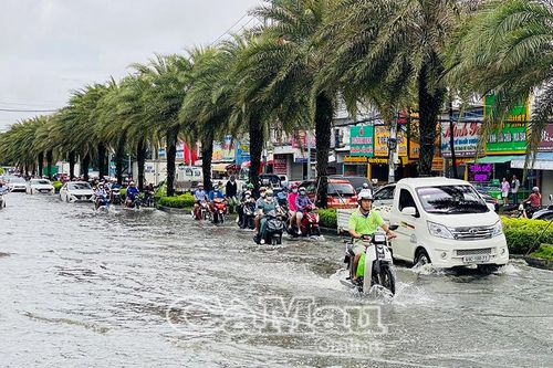 Triều cường tại Cà Mau vượt mức lịch sử