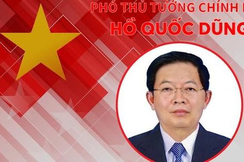 Phân công nhiệm vụ đối với Phó Thủ tướng Chính phủ Hồ Quốc Dũng