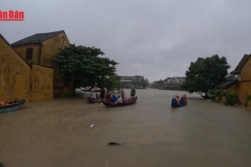 Du khách ấn tượng trước một Hội An kiên cường 'sống chung với lũ'