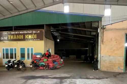 Gia Lai tạm giữ Giám đốc công ty cà phê nghi sản xuất cà phê giả