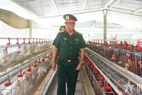 Hiệu quả mô hình nuôi gà đẻ trứng tại Trung đoàn 5, Sư đoàn 5, Quân khu 7