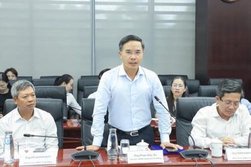 AVSE Global khuyến nghị gì để Đà Nẵng vươn tầm châu lục?