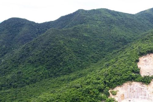 Chuyển đổi hơn 80ha đất rừng để phục vụ 7 dự án tại Gia Lai