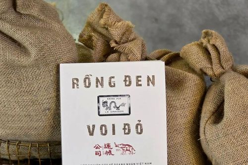 Tìm hiểu về doanh nhân Việt nửa đầu thế kỷ XX qua hai biểu tượng 'rồng đen' và 'voi đỏ'