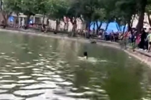 Hà Nội: UBND phường thông tin chính thức vụ người phụ nữ tử vong tại hồ Hoàn Kiếm