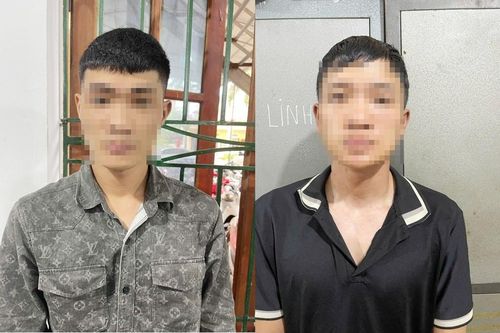 Hai đối tượng biệt danh 'ăn bay' một ngày gây ra 5 vụ trộm cắp tài sản