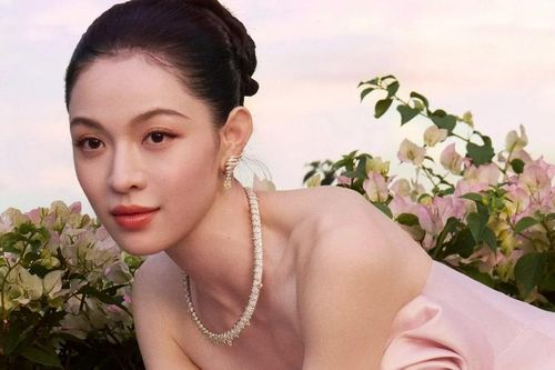 Nữ diễn viên bị chỉ trích vì chen chỗ của Lưu Diệc Phi