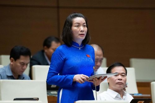 ĐBQH đề nghị làm rõ quy định để nâng cao tính khả thi của Luật Tương trợ tư pháp về dân sự