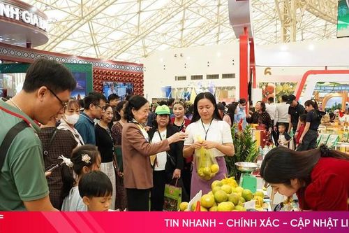 Sức hút của gian hàng Hà Tĩnh tại hội chợ lớn nhất Việt Nam