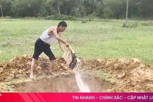 Đức Đồng tiêu hủy hơn 22 tấn lợn hơi nhiễm dịch tả lợn châu Phi