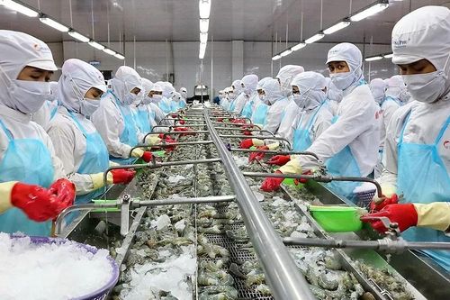 Tôm Việt duy trì mặt bằng giá cao trong quý cuối
