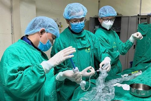 Người 'hồi sinh nhịp đập' cho hàng ngàn trái tim