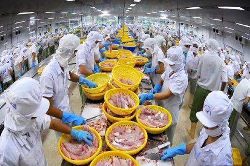 Mỹ xem xét thuế 0%: Ngành xuất khẩu nào của Việt Nam có cơ hội?
