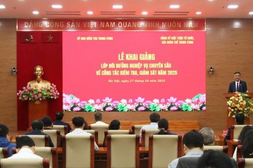 Bồi dưỡng nghiệp vụ chuyên sâu về công tác kiểm tra, giám sát năm 2025