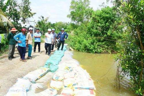 Ứng phó với diễn biến bất thường của lũ