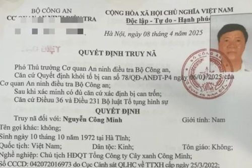 Truy nã Chủ tịch Công ty Cây xanh Công Minh