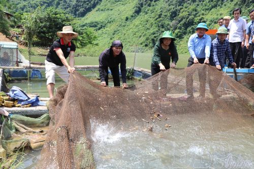 Bí thư, trưởng bản - đại biểu của lòng dân