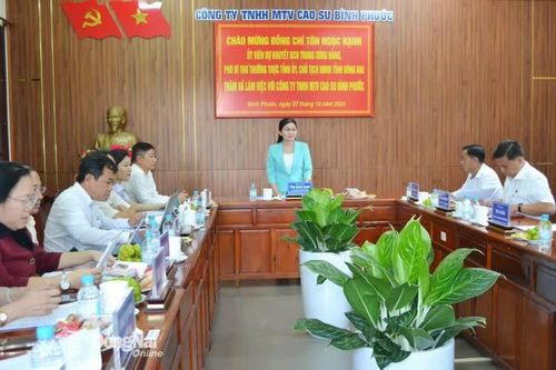 Tập trung tái cơ cấu, ổn định bộ máy, nâng cao chất lượng hoạt động