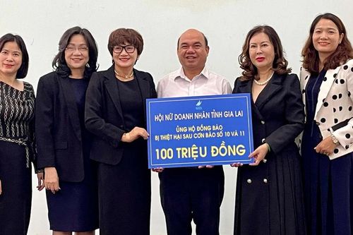 Hội Nữ Doanh nhân tỉnh Gia Lai hỗ trợ 100 triệu đồng cho người dân bị thiệt hại do mưa bão