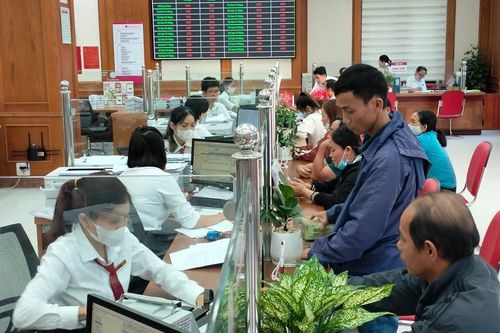Hơn 8.121 tỷ đồng vay đầu tư lĩnh vực lâm-thủy sản
