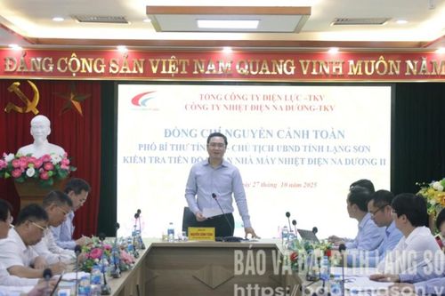 Chủ tịch UBND tỉnh kiểm tra một số dự án tại các xã: Na Dương, Lộc Bình