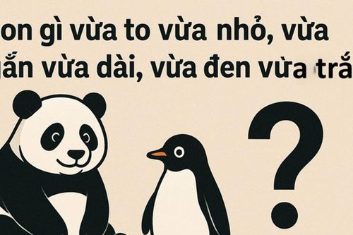 Câu đố tiếng Việt: Con gì vừa to nhỏ, ngắn dài, đen trắng?