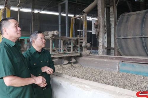 Cựu chiến binh Mường Chanh phát triển kinh tế