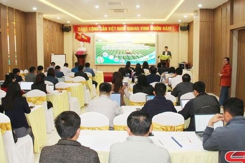 Tập huấn về phát triển du lịch nông nghiệp, nông thôn