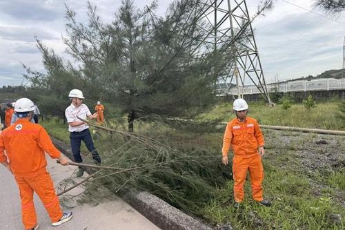 Nhiệt điện Mông Dương: Chủ động trước diễn biến bất thường của thời tiết mùa mưa bão