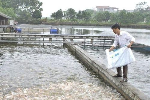 Đổi mới công nghệ, nâng tầm phát triển ngành nuôi trồng thủy sản